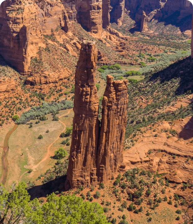 Arizona