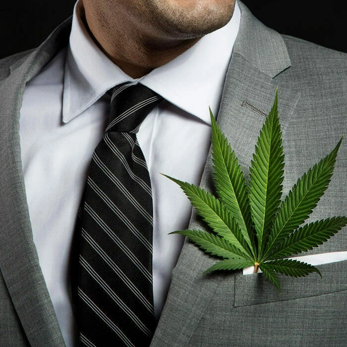 cannabis-business